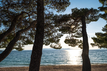 Beach in Makarska Rivera in Croatia Europe