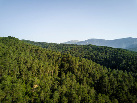 Aerial view of a forest in Catalonia Spain Europe