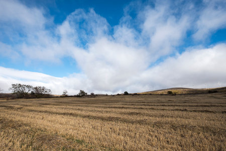 Countryside landscape around the village of Castilfrio de la Sierra in the province of Soria in...