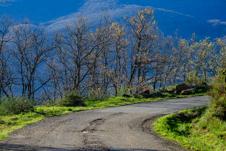 Countryside road in Valle del Jerte Valley in Extremadura in Spainの写真素材