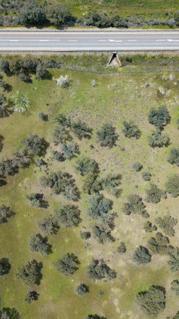 Aerial view of the dehesa in the province of Caceres in Extremadura Spain