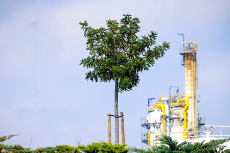 Reforestation in the surroundings of a petrochemical complex in Europe
