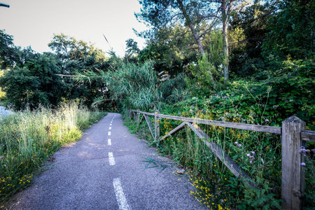 Special bicycle path next to an urban park in the city of Sant Cugat del Valles, one of the urban...