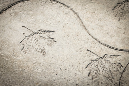 Abstract detail of a leaf engraved on the concrete of a sidewalk in a public park in Sitges in...