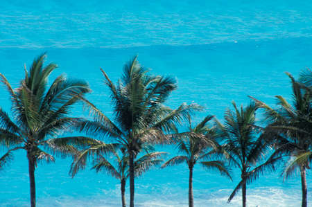Caribbean beaches in the Riviera Maya in the vicinity of Cancun in Quintana Roo in Mexicoの写真素材