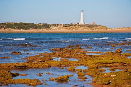 Lighthouse on the coast of Andalusiaの写真素材