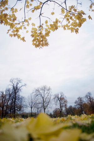 Hyde Park during the fall
