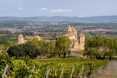 Panoramic view of the royal monastery of Santa Maria de Poblet of the Cistercian order surrounded by vineyards in early autumn in Tarragona in Spainの写真素材