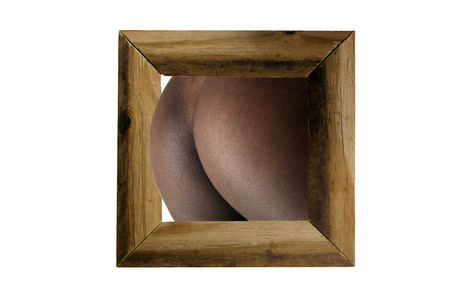 Perfect petite female buttocks emerge from a rustic wood frame, isolated on a white background with generous copyspace.の写真素材