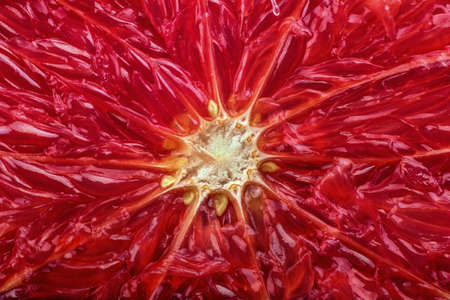 Grapefruit macro backgroundの写真素材