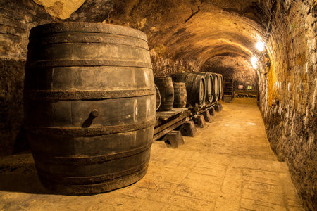 Old wine cellar with traditional casks