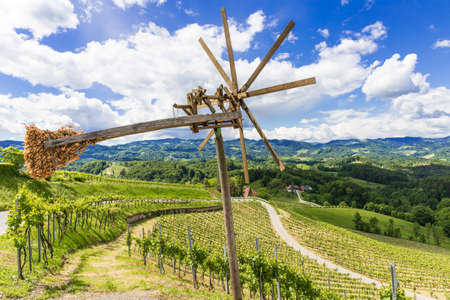 Klapotetz in the south of Styria with vineyard in the backgroundの写真素材
