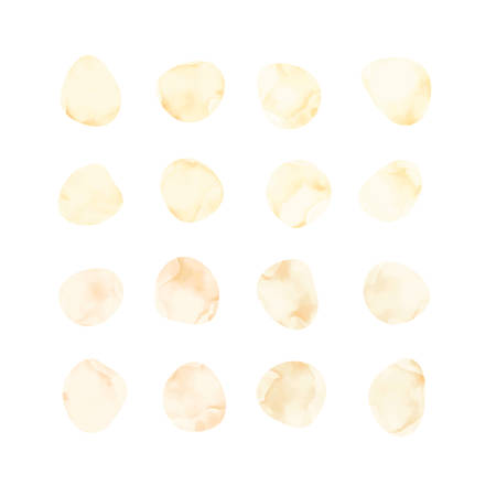 Vector light yellow watercolor spots. Stained petals. Hand painted circles collection.のイラスト素材