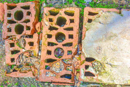 Dirty old cracked bricks on the ground with green grassの写真素材