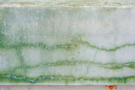 Old concrete wall with long cracks and green moss