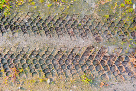 Traces from the tread of car on mud ground. Tire tread on dirt ground with green grass