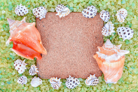 Corkwood Square, Little White and Big Orande Sea Shells on Crystal Sea Salt may use as background....