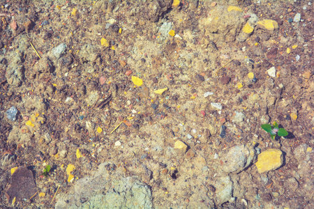 Loose rough dried clay mud with small stones. Natural texture of dry brown dirty soil with yellow pebblesの写真素材