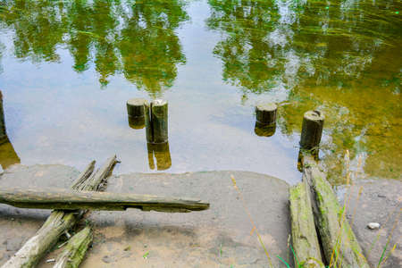 Sandy shore and old weathered wooden posts in reflective water of shallow river or canal with algae and siltの写真素材