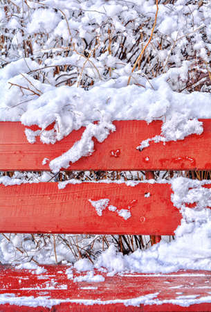 Snow covered red wooden bench in winter park as display or background. Red bench with white fluffy snow and snow covered bushes behindの写真素材