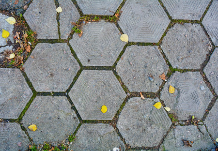 Old damaged hexagonal stone block pavement for exterior with grass and fallen leaves