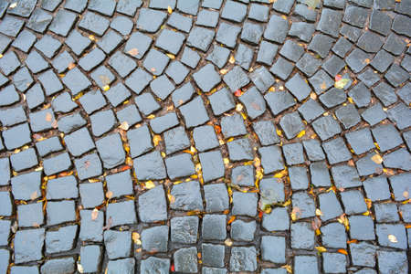 wet old cobblestone pavement street floor with autumn fallen yellow leaves in city after rainの写真素材