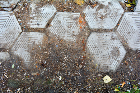 Old damaged hexagonal stone block pavement for exterior with grass and fallen leaves