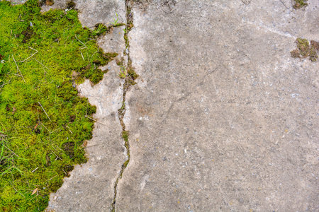 Broken and destroyed old cement walk way floor between them with moss and grass. Old path with stones and mossの写真素材