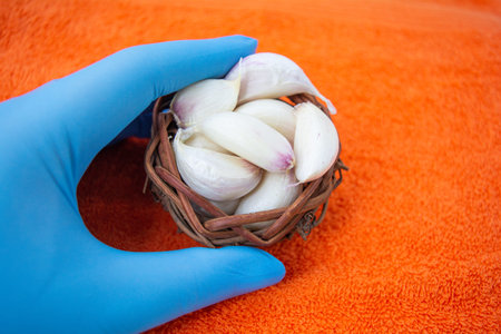 Hand in blue latex medical glove with Cloves of raw Garlic in wooden small bowl. Spices for cooking...