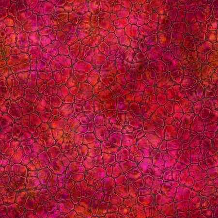 Cartoon seamless texture of color fantasy cobble stone ground pavement. Soft shaped rocks as background - illustrated seamless textureの写真素材
