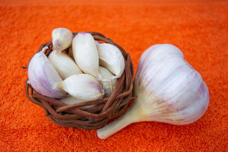 Cloves of raw Garlic in wooden small vintage nest of bird as bowl. Spices for cooking - garlicの写真素材
