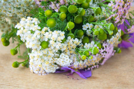 Meadow medical herbs - Chamomile, Achillea and Geranium closeup view. Alternative medicine herbal grassの写真素材