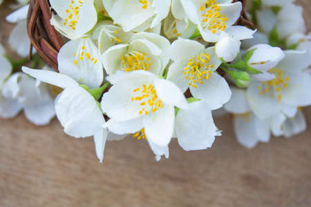White jasmine flowers, traditional chinese green tea ingredient, aromatherapy flavor on wooden background. Wedding invitation card. Space for textの写真素材