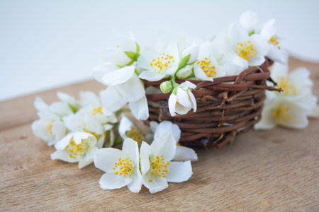 White jasmine flowers, traditional chinese green tea ingredient, aromatherapy flavor on wooden background. Wedding invitation card. Space for textの写真素材