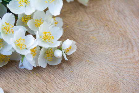 White jasmine flowers, traditional chinese green tea ingredient, aromatherapy flavor on wooden background. Wedding invitation card. Space for textの写真素材