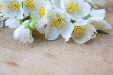White jasmine flowers, traditional chinese green tea ingredient, aromatherapy flavor on wooden background. Wedding invitation card. Space for textの写真素材