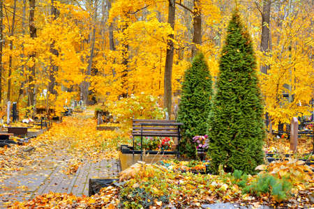 Autumn alley with yellow and orange fallen leaves of ancient Christian cemetery. The silence and tranquility of traditional cemetery in autumnの写真素材