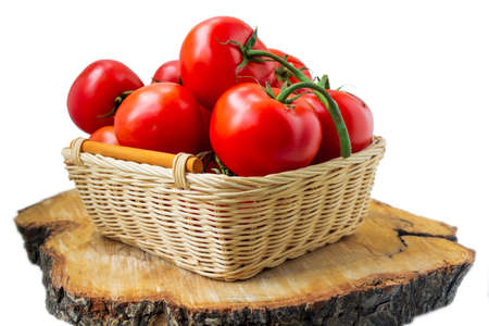 Fresh organic red tomatoes in a woven basket on cutting wood slice isolated on white. Close up photographyの写真素材