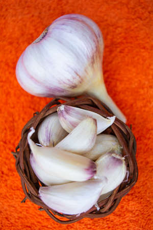 Cloves of raw Garlic in wooden small vintage nest of bird as bowl. Spices for cooking - garlicの写真素材