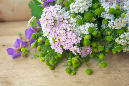 Meadow medical herbs - Chamomile, Achillea and Geranium closeup view. Alternative medicine herbal grassの写真素材