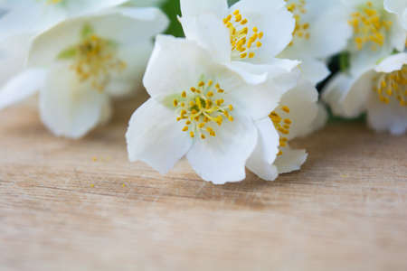 White jasmine flowers, traditional chinese green tea ingredient, aromatherapy flavor on wooden background. Wedding invitation card. Space for textの写真素材