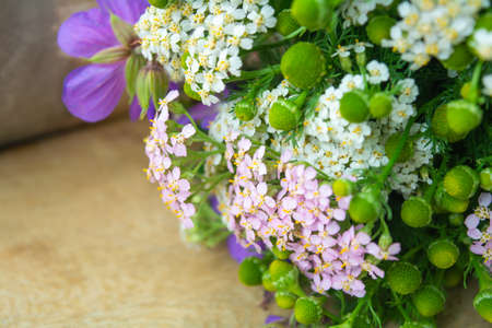 Meadow medical herbs - Chamomile, Achillea and Geranium closeup view. Alternative medicine herbal grassの写真素材