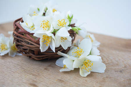 White jasmine flowers, traditional chinese green tea ingredient, aromatherapy flavor on wooden background. Wedding invitation card. Space for textの写真素材