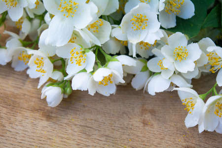 White jasmine flowers, traditional chinese green tea ingredient, aromatherapy flavor on wooden background. Wedding invitation card. Space for textの写真素材