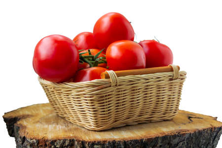 Fresh organic red tomatoes in a woven basket on cutting wood slice isolated on white. Close up photographyの写真素材