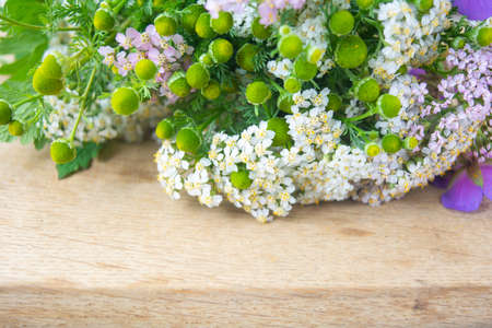 Meadow medical herbs - Chamomile, Achillea and Geranium closeup view. Alternative medicine herbal grassの写真素材