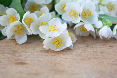 White jasmine flowers, traditional chinese green tea ingredient, aromatherapy flavor on wooden background. Wedding invitation card. Space for textの写真素材