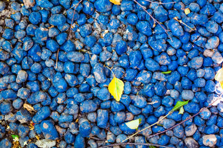 Macro closeup of lot of whole blue clay pebbles, leca flatlay. Expanded clay pebblesの写真素材