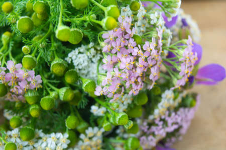 Meadow medical herbs - Chamomile, Achillea and Geranium closeup view. Alternative medicine herbal grassの写真素材