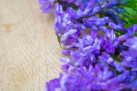 Vicia cracca or tufted vetch, bird or blue vetch and boreal vetch on wooden background. Shallow dof. Alternative medicine herbalの写真素材